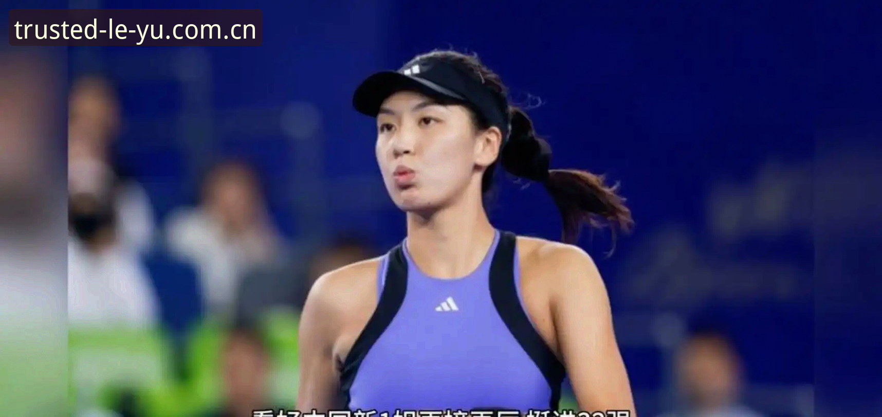 2026法网女单签表深度解析：郑钦文保分战与王欣瑜突围指南